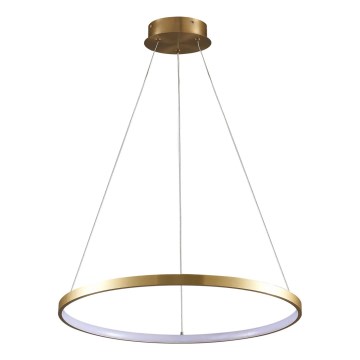 LED Luster na lanku LEA LED/20W/230V 4000K pr. 50 cm zlatá