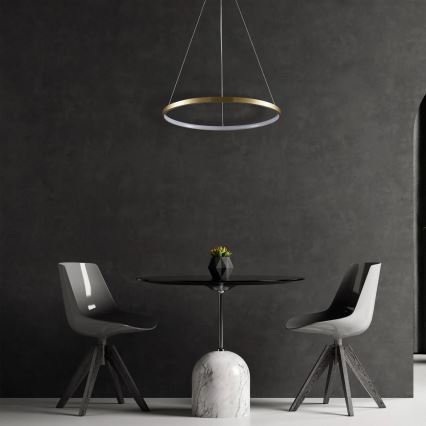 LED Luster na lanku LEA LED/20W/230V 4000K pr. 50 cm zlatá