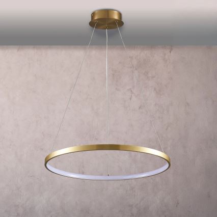 LED Luster na lanku LEA LED/20W/230V 4000K pr. 50 cm zlatá
