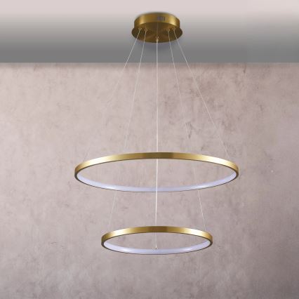 LED Luster na lanku LEA LED/35W/230V 4000K pr. 60 cm zlatá