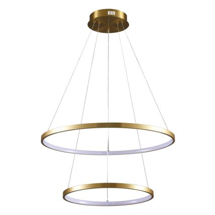 LED Luster na lanku LEA LED/35W/230V 4000K pr. 60 cm zlatá