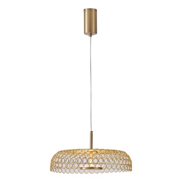 LED Luster na lanku LED/10W/230V 3000K zlatá pr. 35 cm