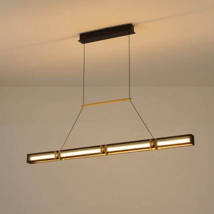 LED Luster na lanku LED/21W/230V 3000K 45x120 cm