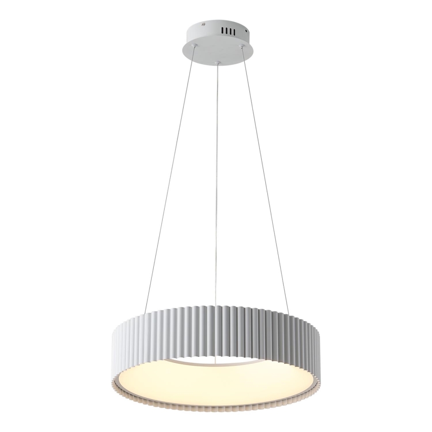 LED Luster na lanku LED/30W/230V 3000K biela
