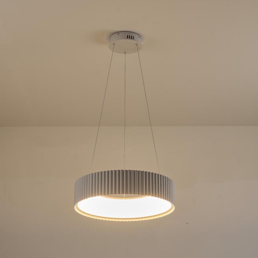 LED Luster na lanku LED/30W/230V 3000K biela