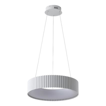 LED Luster na lanku LED/30W/230V 3000K biela