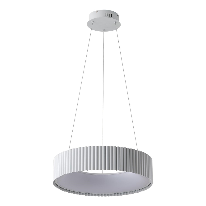 LED Luster na lanku LED/30W/230V 3000K biela