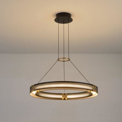 LED Luster na lanku LED/33W/230V 3000K 62x120 cm