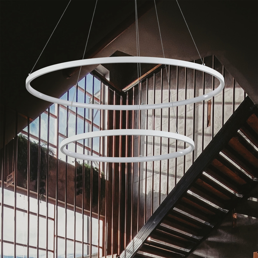 Dvojité kruhové svietidlo visí v modernom interiéri. Svietidlo osvetľuje schodisko a priestor s vertikálnymi kovovými prvkami a zeleňou.