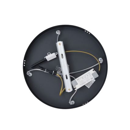 LED Luster na lanku LED/38W/230V 3000K