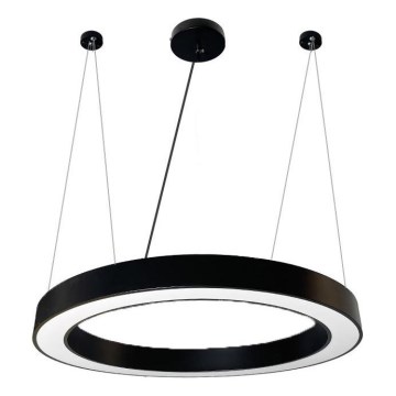 LED Luster na lanku LED/50W/230V 4000K pr. 100 cm čierna
