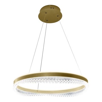 LED Luster na lanku LED/52W/230V pr. 60 cm zlatá