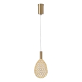 LED Luster na lanku LED/6,3W/230V 3000K zlatá pr. 14 cm