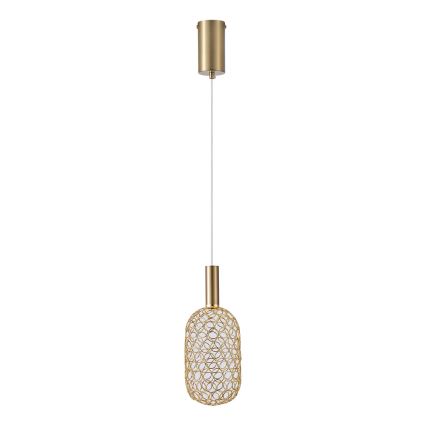 LED Luster na lanku LED/6,3W/230V 3000K zlatá pr. 20 cm