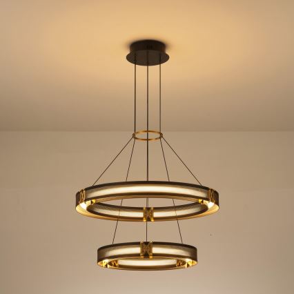 LED Luster na lanku LED/62W/230V 3000K 62x120 cm