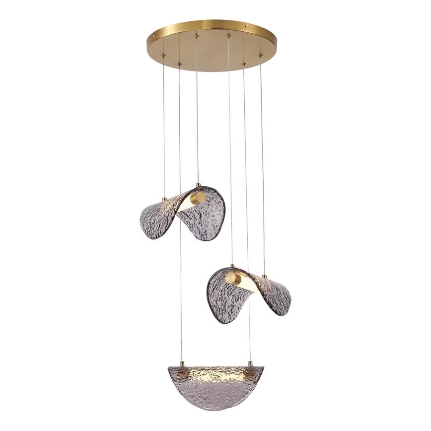 LED Luster na lanku LED/6W/230V 3000K