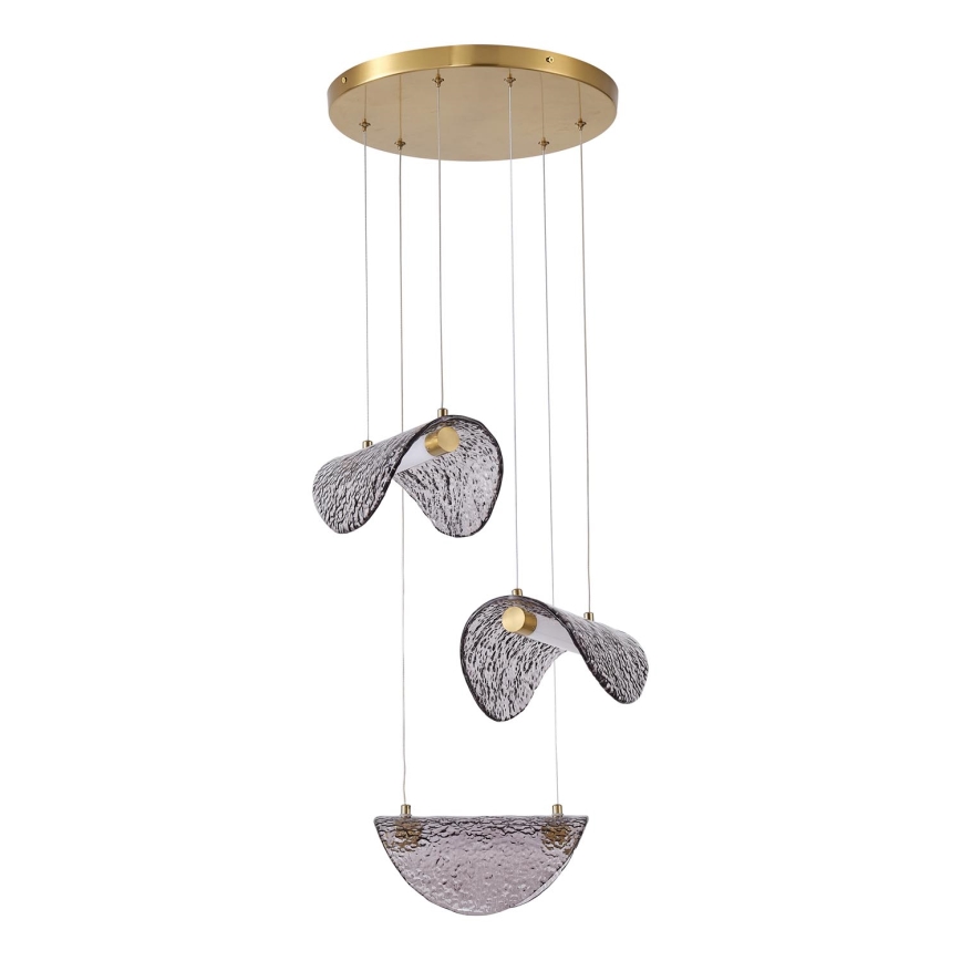 LED Luster na lanku LED/6W/230V 3000K