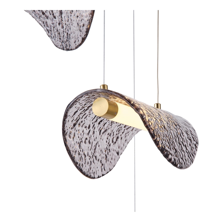 LED Luster na lanku LED/6W/230V 3000K