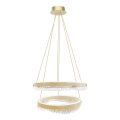 LED Luster na lanku LED/85W/230V pr. 60 cm zlatá