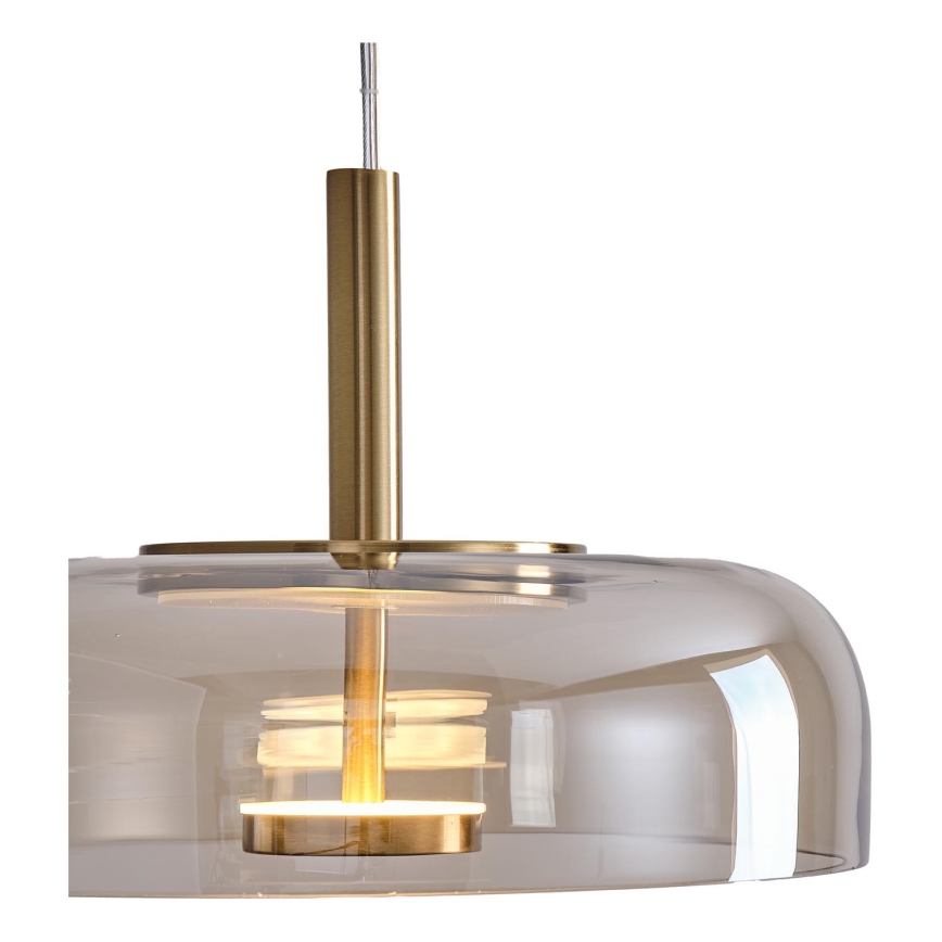LED Luster na lanku LED/8W/230V 3000K pr. 30 cm