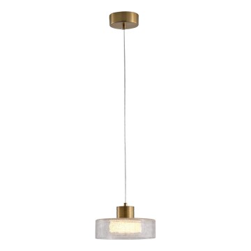 LED Luster na lanku LED/8W/230V 3000K zlatá/číra pr. 20 cm