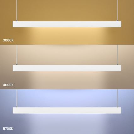 LED Luster na lanku LINEA LED/36W/230V 3000/4000/5700K CRI 90 biela