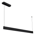 LED luster na lanku LINEA LED/36W/230V 3000/4000/5700K CRI 90 čierna