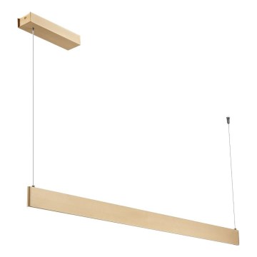 LED luster na lanku LINEA LED/36W/230V 3000/4000/5700K CRI 90 zlatý