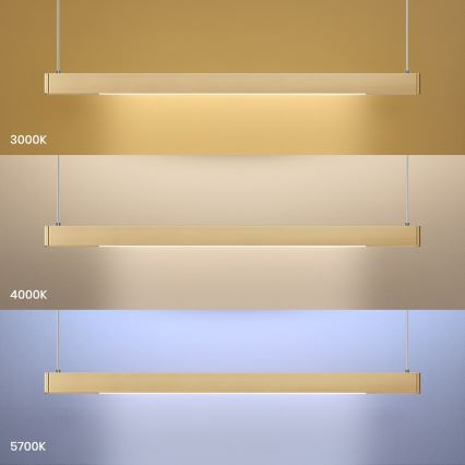 LED luster na lanku LINEA LED/36W/230V 3000/4000/5700K CRI 90 zlatý