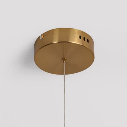 LED luster na lanku MELECA LED/24W/230V 3000/4000/6000K 100 cm zlatý