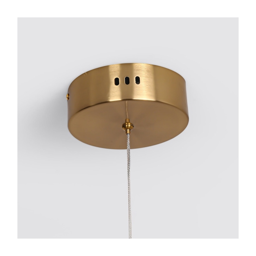 LED Luster na lanku MELECA LED/36W/230V 3000/4000/6000K 160 cm zlatý