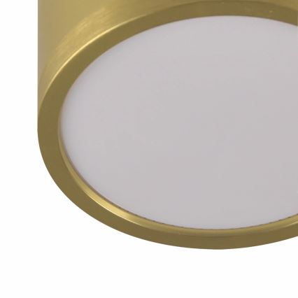 LED Luster na lanku MIRELLA 4xGX53/6W/230V zlatá/čierna
