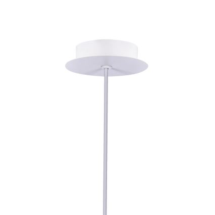 LED Luster na lanku MODENA LED/5W/230V