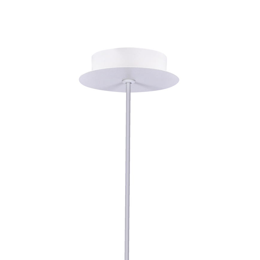 LED Luster na lanku MODENA LED/5W/230V