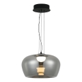 LED luster na lanku NADIA LED/20W/230V dymová/čierna
