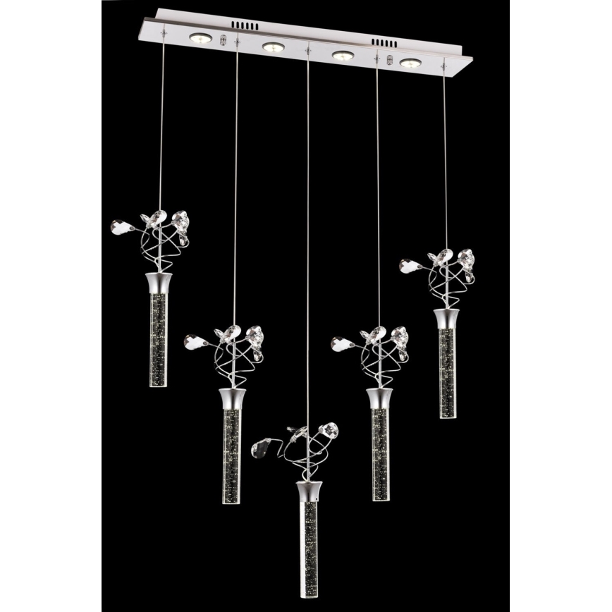 LED luster na lanku PIGEON 5xLED/6W/230V 6500K lesklý chróm