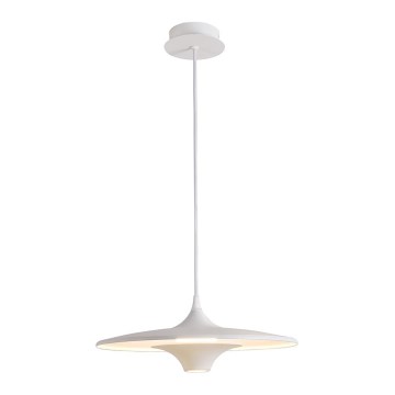 LED Luster na lanku RENE LED/19W/230V CRI 90 biela