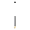 LED Luster na lanku TUBA 1xGU10/20W/230V šedá