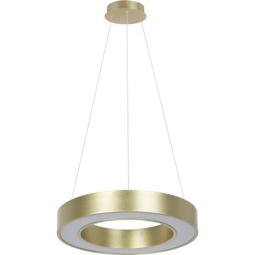 LED luster na lanku UNION LED/40W/230V 3000/4000/6500K pr. 40 cm zlatý