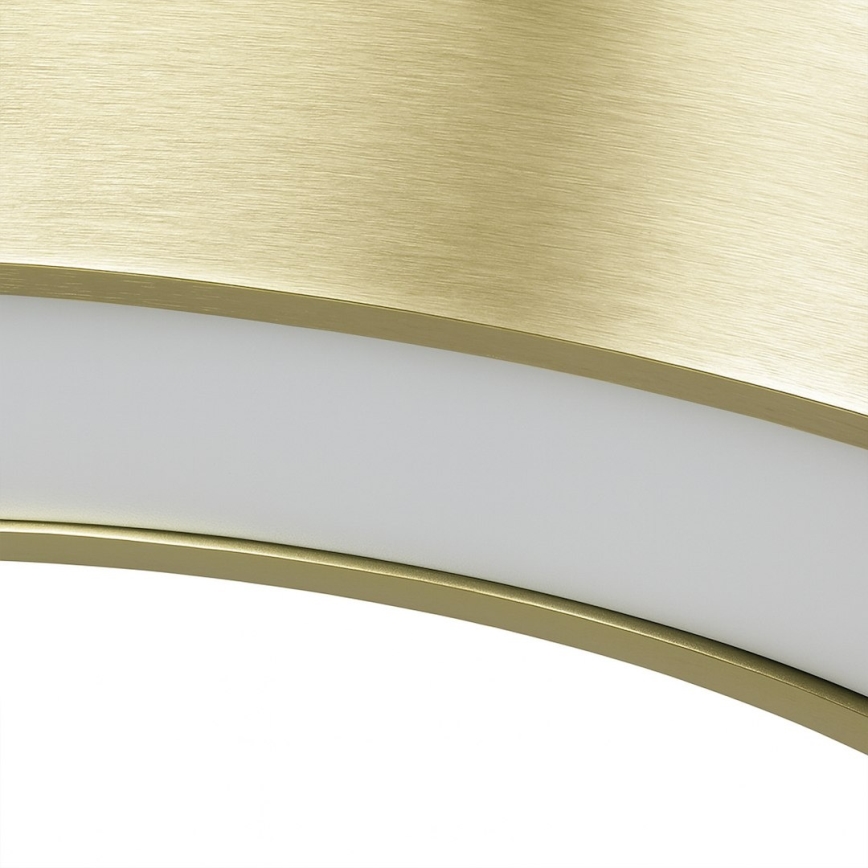 LED luster na lanku UNION LED/40W/230V 3000/4000/6500K pr. 40 cm zlatý