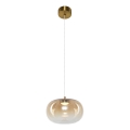 LED Luster na lanku VASO LED/4W/230V pr. 18 cm zlatá/dymová