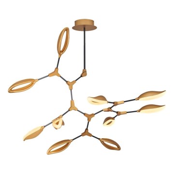 LED luster na tyči ASTI 10xLED/7W/230V 3000K zlatá