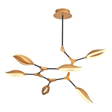 LED luster na tyči ASTI 6xLED/7W/230V 3000K zlatý