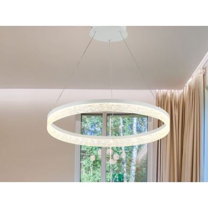 LED stmievateľný luster na lanku ALIANZ LED/45W/230V 3000-6000K pr. 60 cm + diaľkové ovládanie