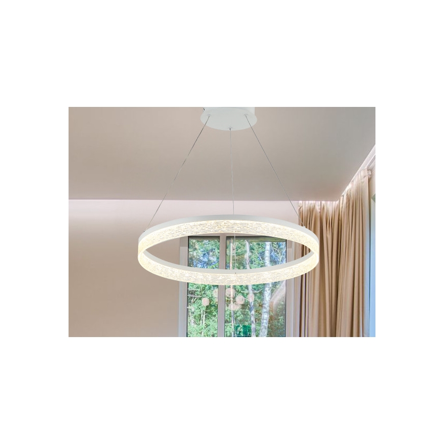 LED stmievateľný luster na lanku ALIANZ LED/45W/230V 3000-6000K pr. 60 cm + diaľkové ovládanie