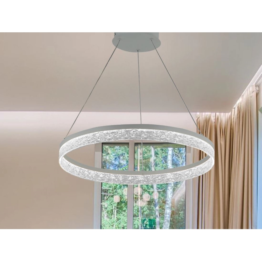LED stmievateľný luster na lanku ALIANZ LED/45W/230V 3000-6000K pr. 60 cm + diaľkové ovládanie