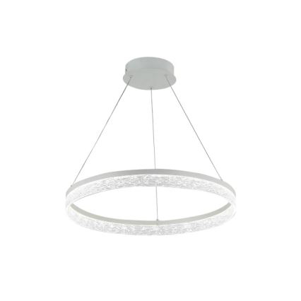 LED stmievateľný luster na lanku ALIANZ LED/45W/230V 3000-6000K pr. 60 cm + diaľkové ovládanie