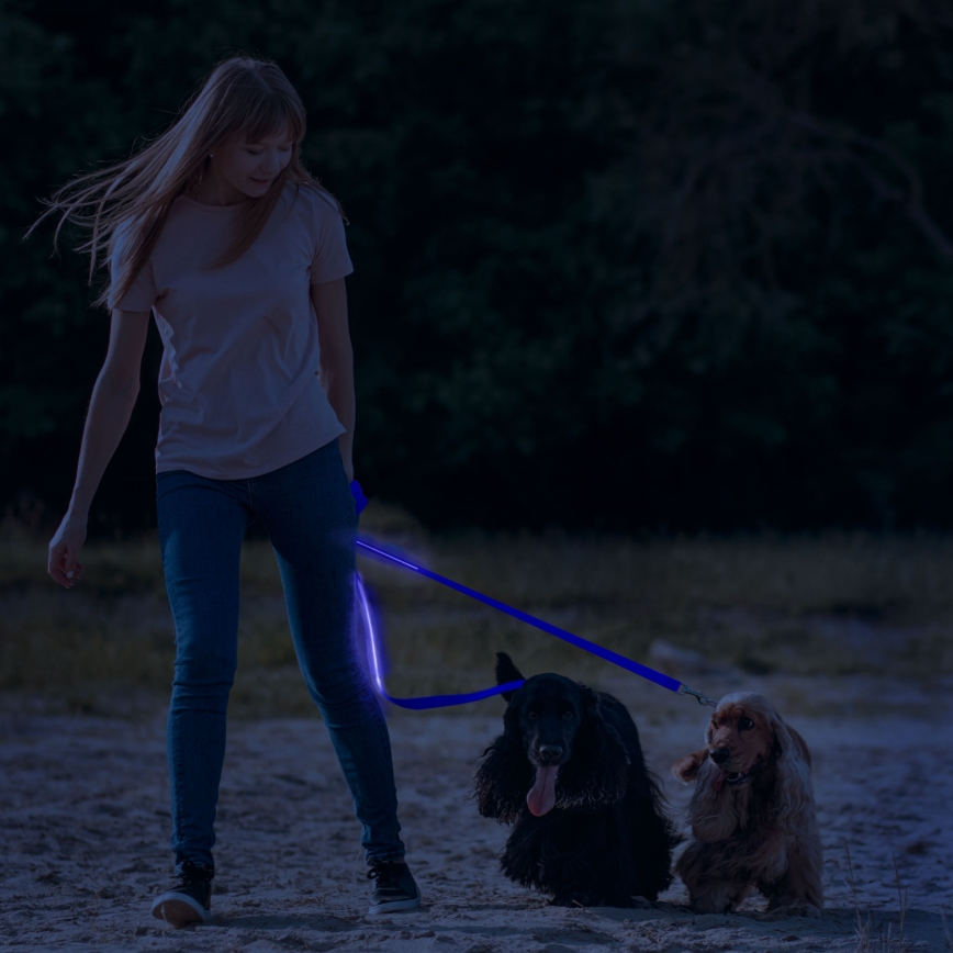 LED Nabíjacie vodítko 120 cm 2xCR2032/5V/40 mAh modrá