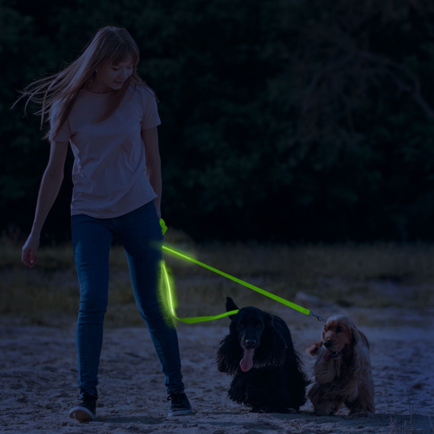 LED Nabíjacie vodítko 120 cm 2xCR2032/5V/40 mAh zelená