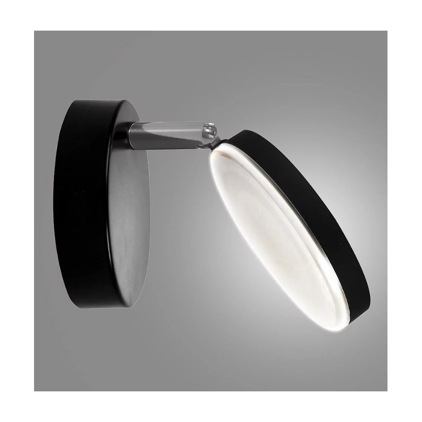 LED Nástenné bodové svietidlo CAPRI LED/5W/230V